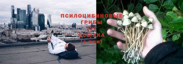 метадон Зеленодольск
