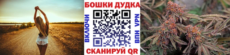 Купить где  Сосновка  Канабис AK-47 